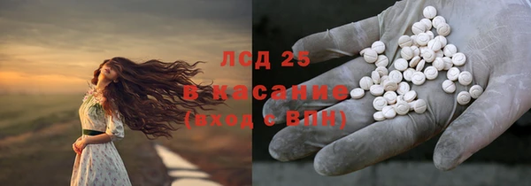 стаф Алексин