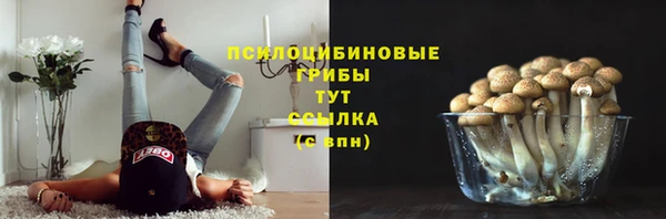 2c-b Абинск