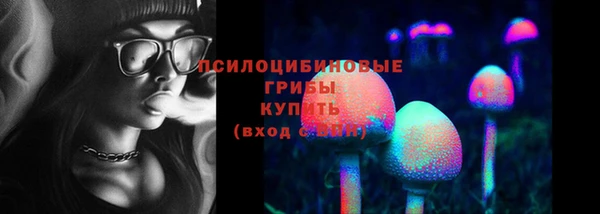 2c-b Абинск