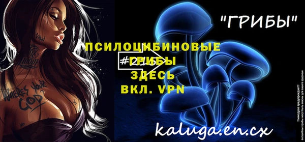 2c-b Абинск
