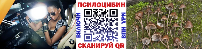 Псилоцибиновые грибы мицелий  гидра ссылки  Староминская 